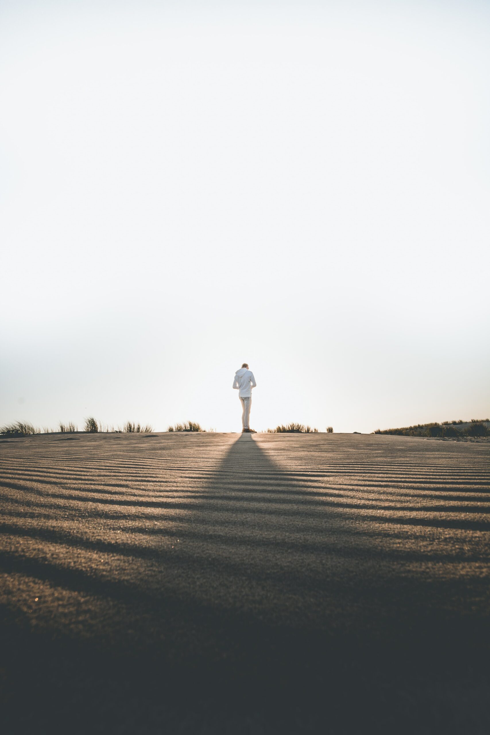 louis-maniquet-WMs2tovqAkg-unsplash louis-maniquet-WMs2tovqAkg-unsplash