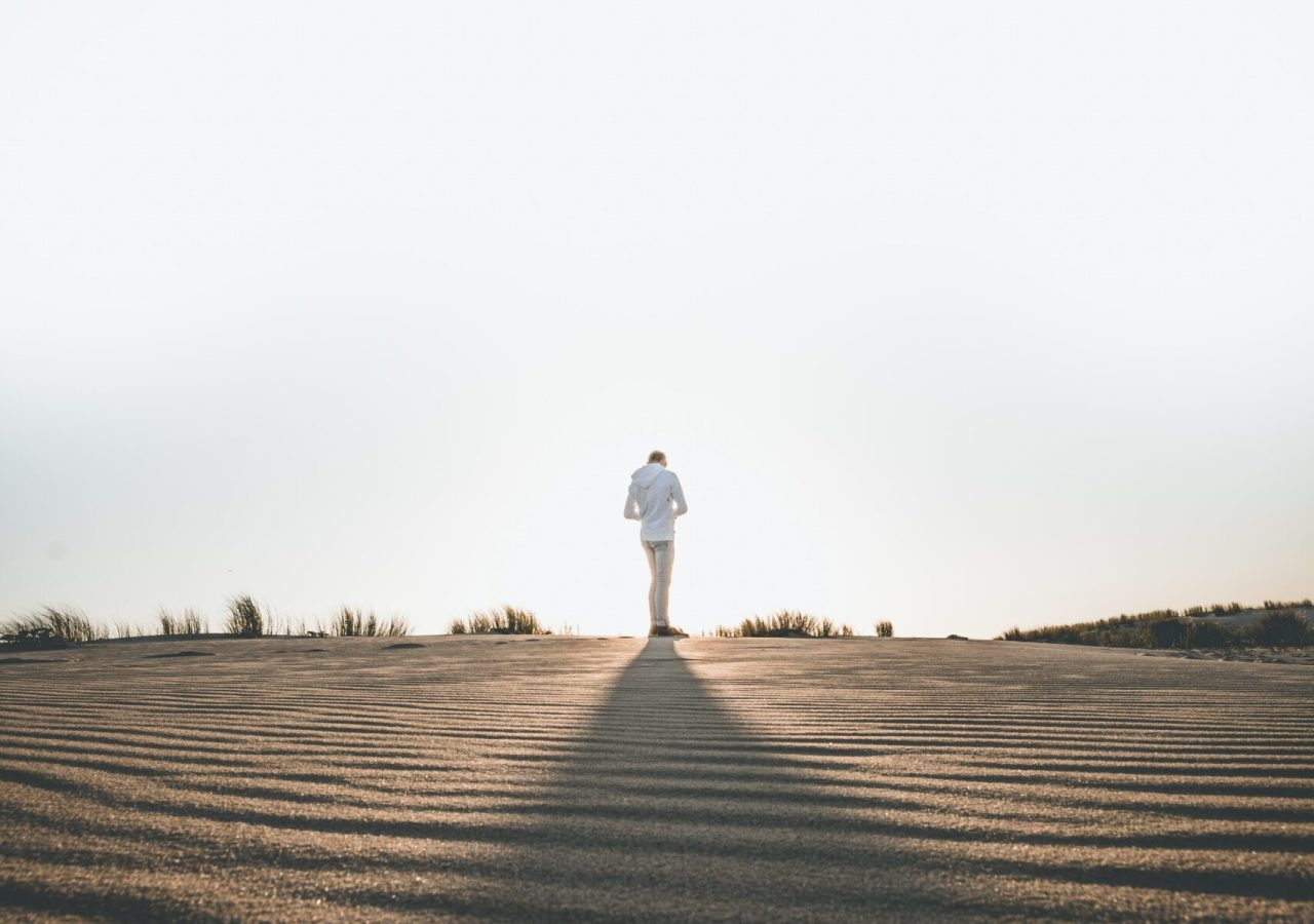louis-maniquet-WMs2tovqAkg-unsplash louis-maniquet-WMs2tovqAkg-unsplash